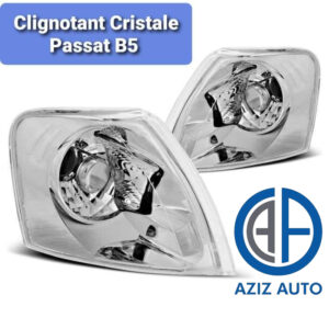 clignontant passat b5