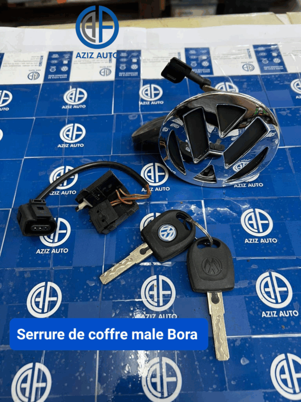 serrure coffre bora origine