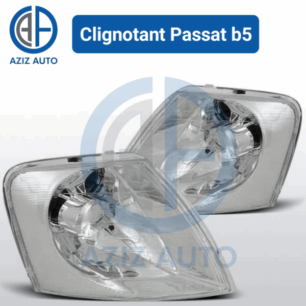 clignontant passat b5
