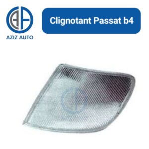 clignontant passat b4