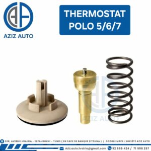 thermostat polo 5/6/7 ibiza 1.2 essence